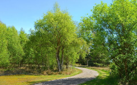 Gwen - 2.7Km from the Sea: Foglia, Albero, Verde, Erba, Natura, Ramo, Ambiente Naturale, Vegetazione, Paesaggio Naturale