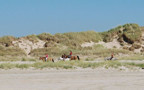 Lotte - 2.3Km from the Sea: Erba, Casa, Tetto, Casa, Villetta, Arbusto, Lotto, Area Rurale, Agriturismo, Groundcover