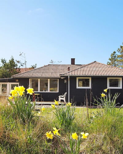 Dane - 500M from the Sea