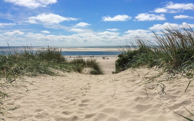 Rother - 100M from the Sea