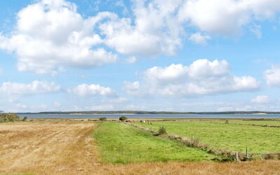 Aswaldi - 3.5Km from the Sea