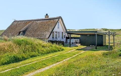 Klimentina - 150M from the Sea: Comunita 'Impianto, Luce Del Sole, Pianta Erbacea, Giardino, Piantagione, Agricoltura, Azienda Agricola