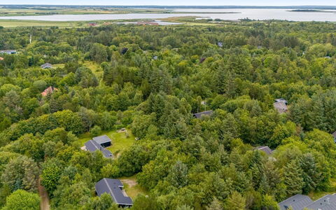 Fredger - 1.8Km from the Sea: Ambiente Naturale, Visione Globale, Vegetazione, Paesaggio, Fotografia Aerea, Lotto, Comunita 'Impianto, Foresta, Piantagione, Giungla
