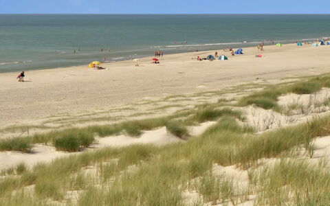 Holte - 700M to the Fjord: Ambiente Naturale, Spiaggia, Costa, Sabbia, Ecoregione, Estate, Mare, Riva, Costiera E Morfologie Oceanic, Oceano