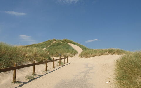 Agga - 200M from the Sea: Ecoregione, Paesaggio, Trail, Sabbia, Pendenza, Passerella, Suolo