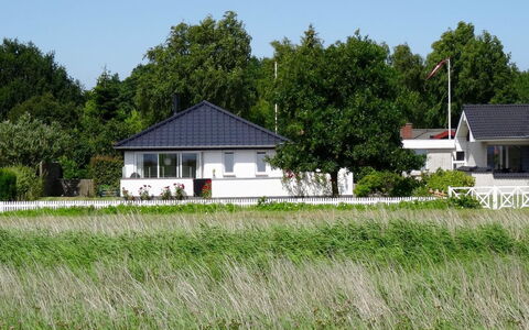 Mayla - 50M from the Sea: Comunita 'Impianto, Luce Del Sole, Pianta Erbacea, Giardino, Piantagione, Agricoltura, Azienda Agricola