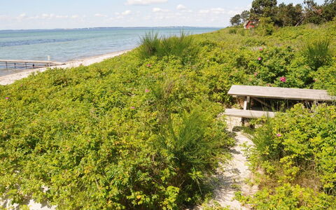 Kalv - 75M from the Sea: Zona Residenziale, Tetto, Sobborgo, Driveway, Estate, Camino