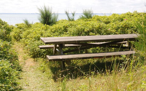 Kalv - 75M from the Sea: Zona Residenziale, Tetto, Sobborgo, Driveway, Estate, Camino