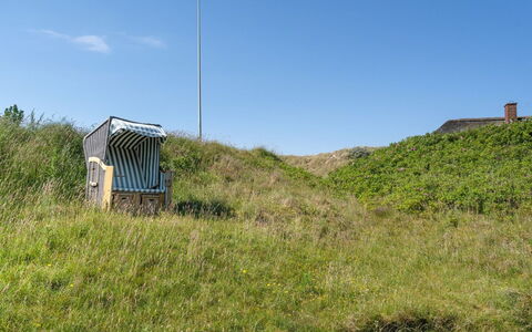 Mattias - 100M from the Sea: Erba, Pascolo, Paesaggio, Ecoregione, Plain, Comunita 'Impianto, Lotto, Mobili Da Esterno, Prateria, Shrubland