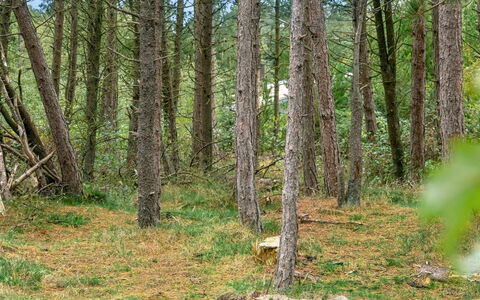 Santuzza - 3.9Km from the Sea: Erba, Casa, Tetto, Casa, Villetta, Arbusto, Lotto, Area Rurale, Agriturismo, Groundcover