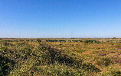 Alim - 300M from the Sea