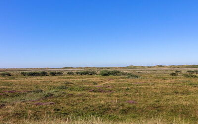 Alim - 300M from the Sea