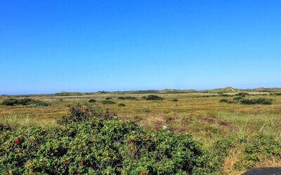 Alim - 300M from the Sea