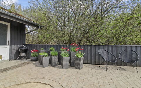 Vieno - 2.6Km from the Sea: Arbusto, Vaso Di Fiori, Giardino, Groundcover, Backyard, Cortile, Pianta Della Casa, Landscaping, Cortile