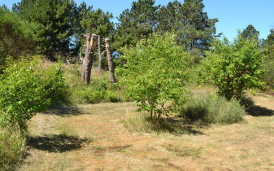 Eberg - 2.8Km from the Sea