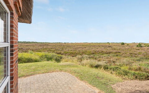 Dietmar - 2.8Km from the Sea: Ecoregione, Plain, Steppa, Prateria, Shrubland, Ranch, Chaparral