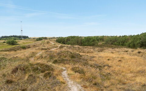 Reiko - 1.5Km from the Sea