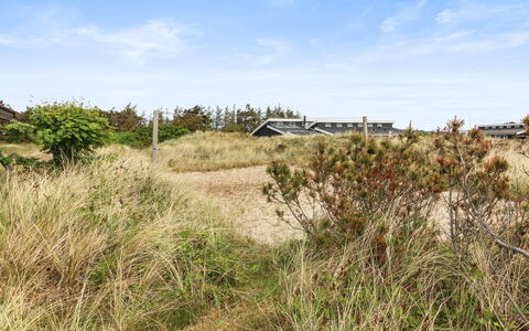 Svenne - 500M from the Sea: Comunita 'Impianto, Luce Del Sole, Pianta Erbacea, Giardino, Piantagione, Agricoltura, Azienda Agricola