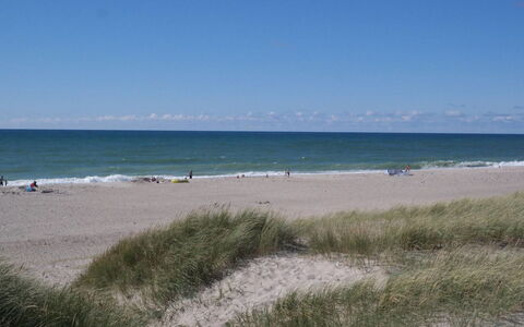 Iines - 200M from the Sea: Blu, Spiaggia, Corpo D'Acqua, Costa, Ambiente Naturale, Orizzonte, Costiera E Morfologie Oceanic, Mare, Riva