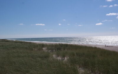 Iines - 200M from the Sea