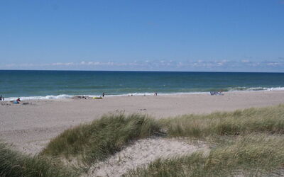 Iines - 200M from the Sea