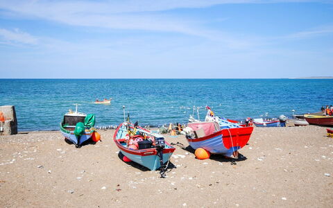 Dreng - 800M from the Sea: Legna, Mare, Nube, Costiera E Morfologie Oceanic, Deck, Oceano, Plank, Boardwalk, Costa, Latifoglie