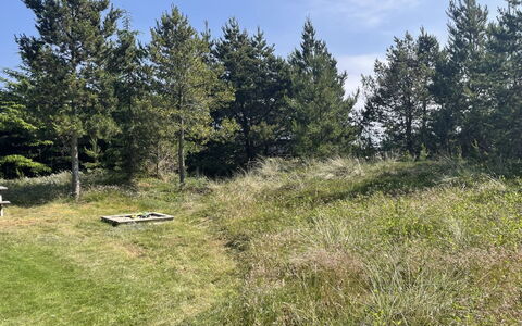 Felicia - 800M from the Sea: Erba, Albero, Ambiente Naturale, Vegetazione, Pascolo, Arbusto, Comunita 'Impianto, Lotto, Plain, Pascolo