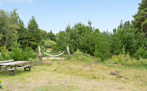 Elayne - 3Km from the Sea: Comunita 'Impianto, Luce Del Sole, Pianta Erbacea, Giardino, Piantagione, Agricoltura, Azienda Agricola