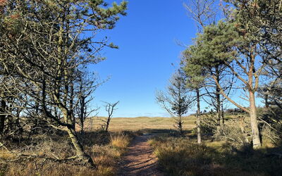 Nilson - 1.4Km from the Sea