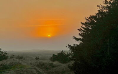 Nilson - 1.4Km from the Sea