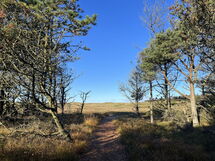 Nilson - 1.4Km from the Sea