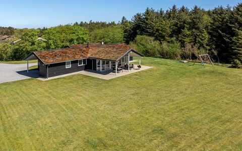 Ricus - 1.8Km from the Sea: Comunita 'Impianto, Luce Del Sole, Pianta Erbacea, Giardino, Piantagione, Agricoltura, Azienda Agricola