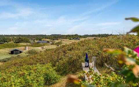 Ejnarine - 300M from the Sea: Cielo, Verde, Vegetazione, Arbusto, Comunita 'Impianto, Paesaggio, Lotto, Area Rurale, Groundcover