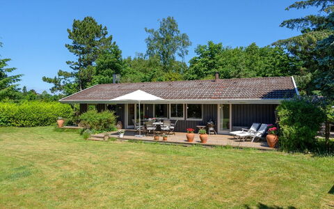 Naira - 1.8Km from the Sea