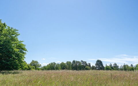 Naira - 1.8Km from the Sea: Legna, Tetto, Architettura, Casa, Casa, Villetta, Raccordo, Latifoglie, Pendenza, Estate