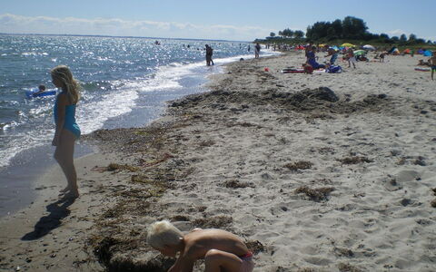 Hvenild - 800M from the Sea: Tetto, Casa, Casa, Villetta, Raccordo, Estate, Driveway, Edifici Giardino, Cortile, Capannone