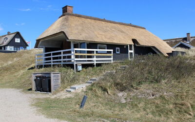 Telia - 250M from the Sea
