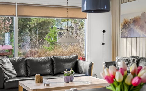 Halfdan - 1.1Km from the Sea: Mobilia, Interior Design, Pavimentazione, Divano, Parete, Pavimento, Legna, Tavolo, Soggiorno, Casa