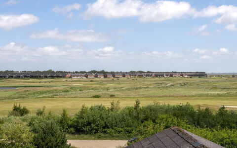 Halfdan - 1.1Km from the Sea: Cielo, Erba, Pascolo, Plain, Ecoregione, Lotto, Area Rurale, Campo, Prateria, Steppa