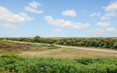 Fotij - 2.3Km from the Sea: Cielo, Giorno, Nube, Verde, Erba, Ambiente Naturale, Vegetazione, Ecoregione, Pascolo