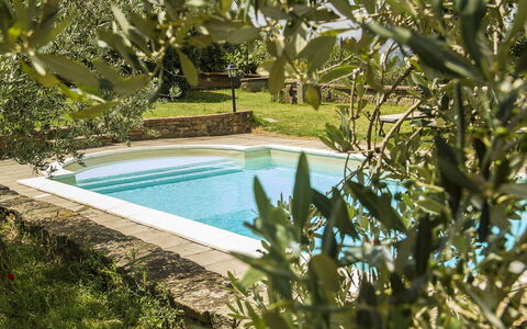 Orangerie Degli Ulivi: Acqua, Risorse Idriche, Pianta, Natura, Azzurro, Piscina, Botanica, Paesaggio Naturale, Vegetazione, Erba