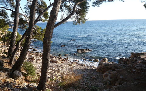 Les Hameaux de L'Ile Rousse: Acqua, Pianta, Cielo, Paesaggio Naturale, Albero, Legna, Costiera E Morfologie Oceanic, Banca, Terreno, Orizzonte