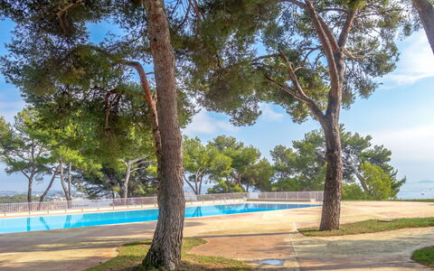Bandol 230: Cielo, Pianta, Shade, Azzurro, Nube, Albero, Ramo, Arecales, Paesaggio Naturale, Luce Del Sole