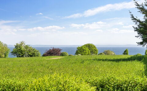 Alma - 400M from the Sea: Arbusto, Urban Design, Groundcover, Brick, Appartamento, Estate, Muratura, Balcone, Landscaping