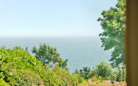 Fridtjof - 100M from the Sea: Verde, Foglia, Vegetazione, Orizzonte, Mare, Comunita 'Impianto, Oceano, Costiera E Morfologie Oceanic, Costa, Tropici