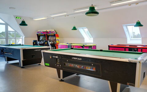 Urmas - 1Km from the Sea: Giochi Al Coperto E Sport, Piscina, Biliardo, Biliardo Camera, Sala Di Ricreazione, Interior Design, Attrezzatura Sportiva, Illuminazione