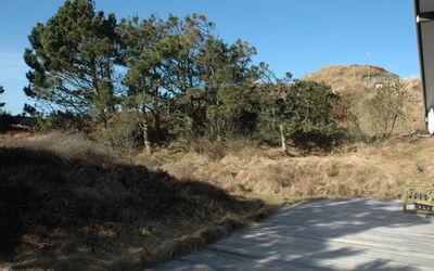 Alin - 600M from the Sea