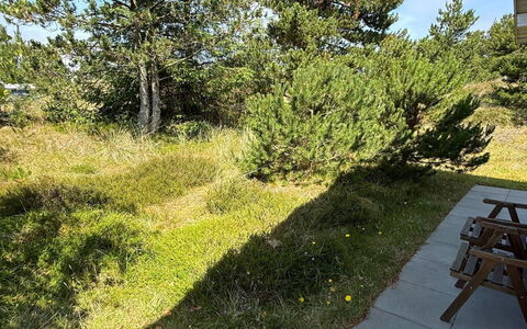 Absolon - 1.5Km from the Sea: Erba, Vegetazione, Arbusto, Comunita 'Impianto, Lotto, Groundcover, Giardino, Woody Impianto, Prato
