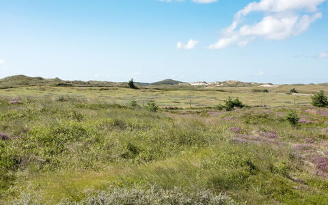 Dorothea - 450M to the Fjord: Cielo, Blu, Erba, Pascolo, Ambiente Naturale, Ecoregione, Vegetazione, Nube, Plain, Orizzonte