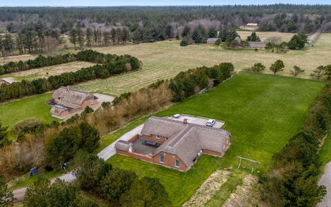 Aane - 1.8Km from the Sea: Comunita 'Impianto, Luce Del Sole, Pianta Erbacea, Giardino, Piantagione, Agricoltura, Azienda Agricola